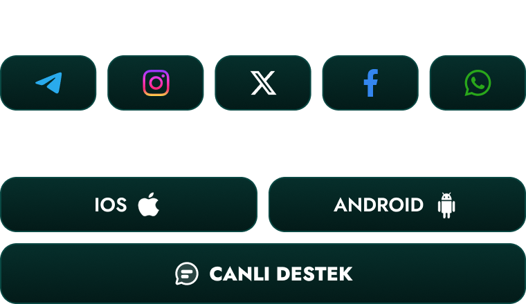 Robinbet Promo Banner