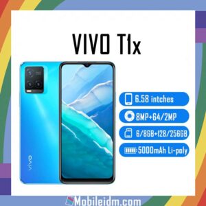 vivo T1x