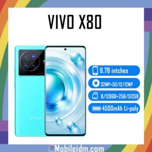 vivo X80