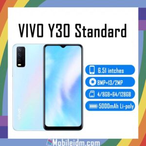 vivo Y30 Standard