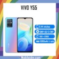 vivo Y55