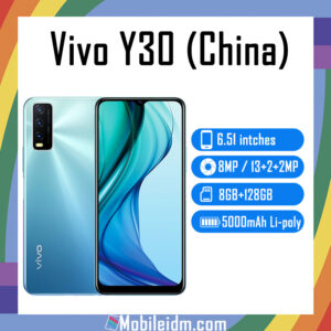 vivo Y30 (China)