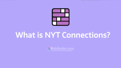 What is NYT Connections: Details Explained, connections hint, connections hints, nyt connections hint, connection hints